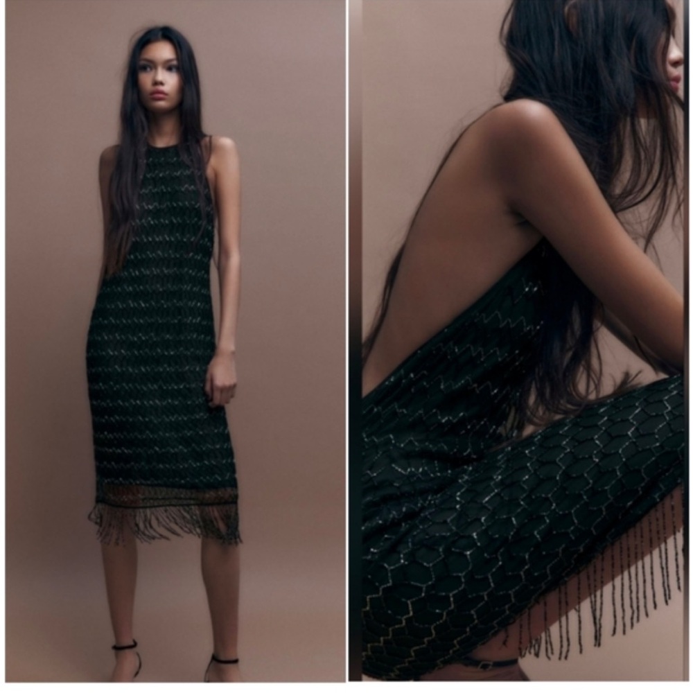 Zara Black Embroidered and Beaded
Fringe Midi Dress
$70 Size: S
Zara
NWT